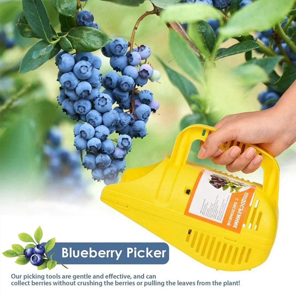 Gardening Tools Must Haves - Herramienta para Recoger Arándanos con Dientes