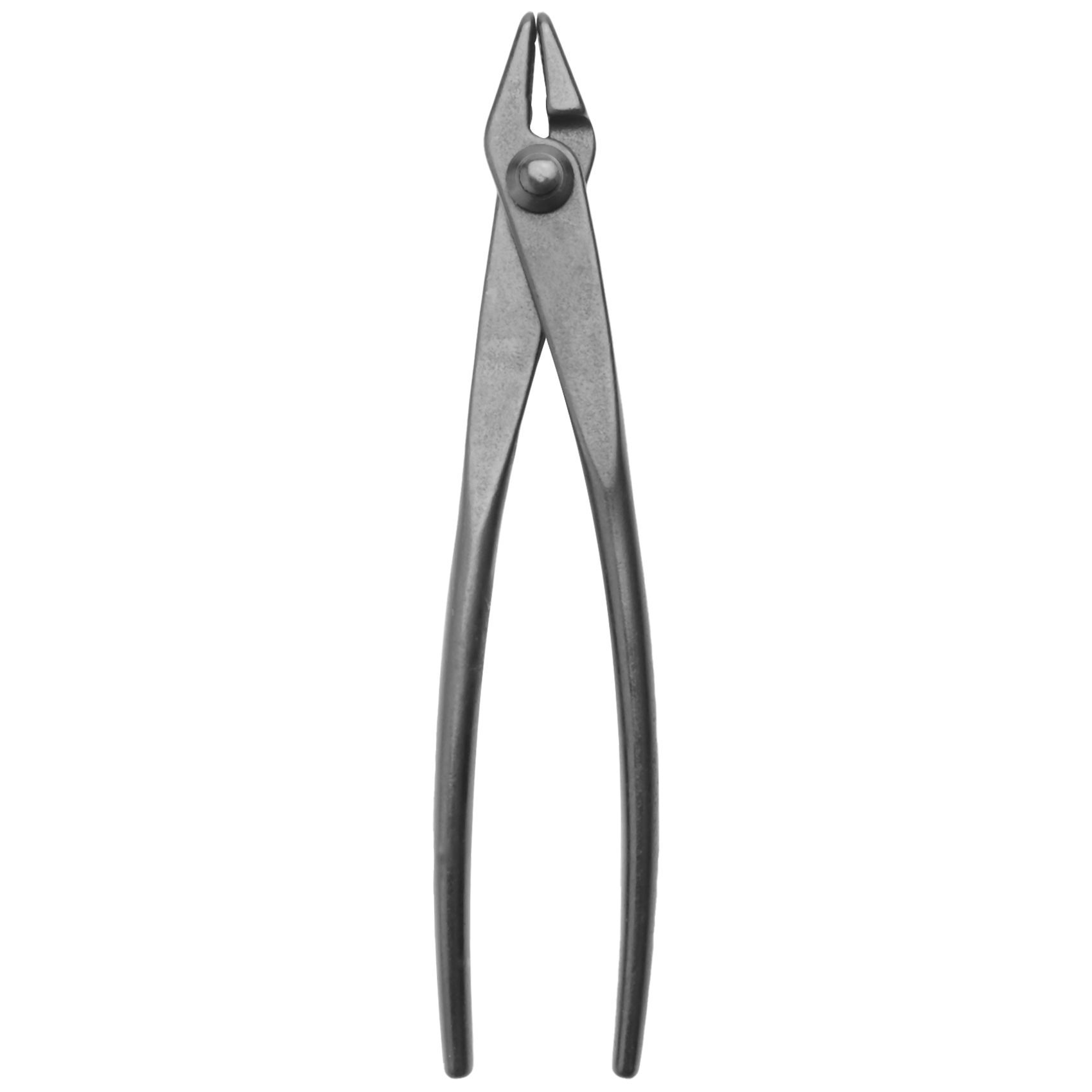 Gardening Tools Drawing - Alicates de acero para podar el