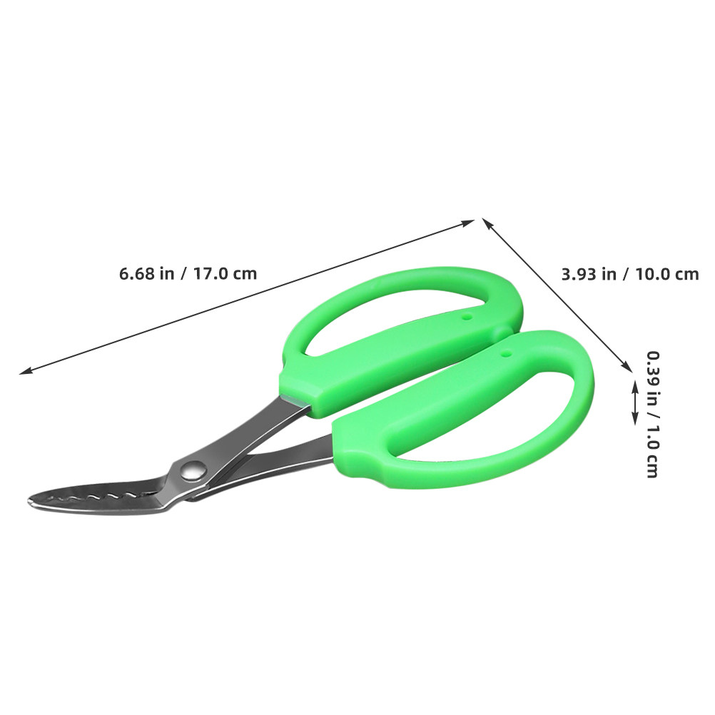Tijeras para desmalezar mejora - Gardening Tools Scissors reseña y precio