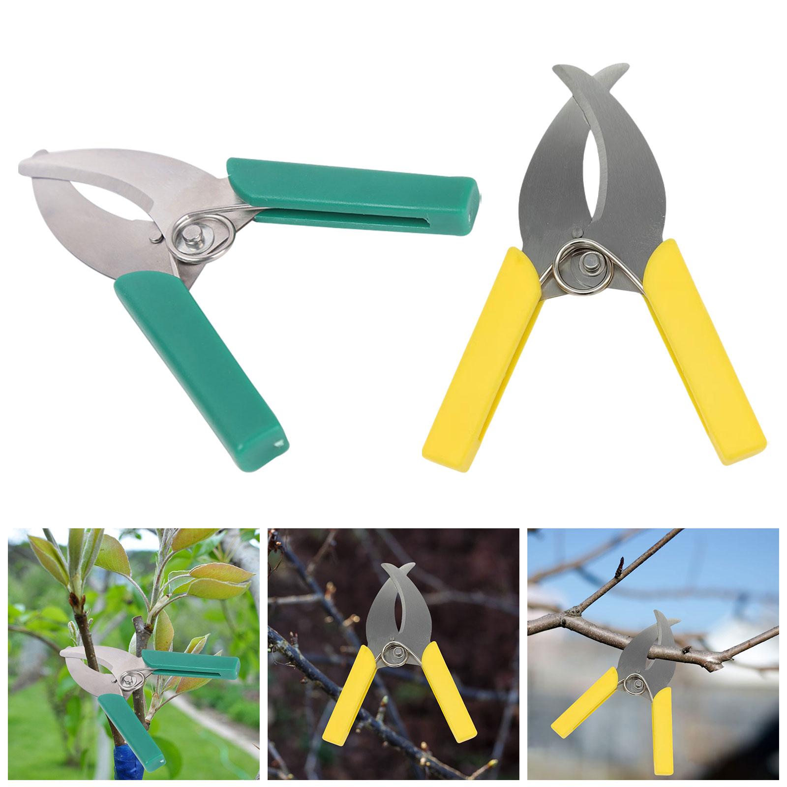 Cortador de ladridos de anillo - Gardening Tools Scissors reseña y precio