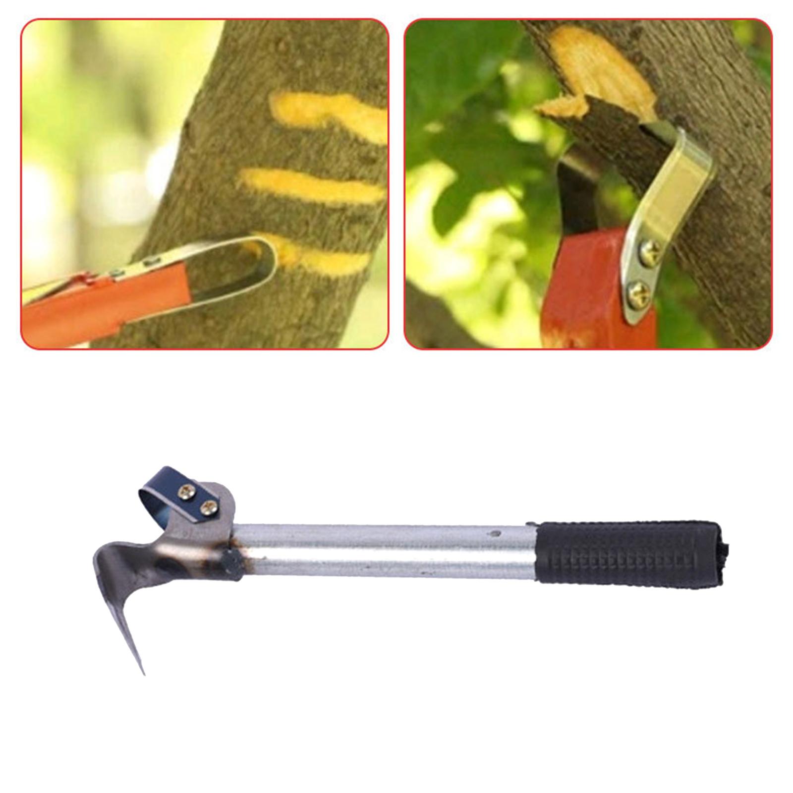 Herramienta para quitar cortez - Gardening Tools Drawing reseña y precio