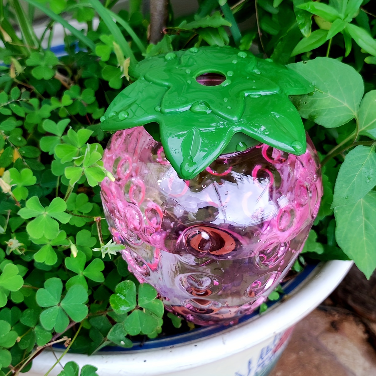 Herramienta de riego automátic - Gardening Tools For Home reseña y precio
