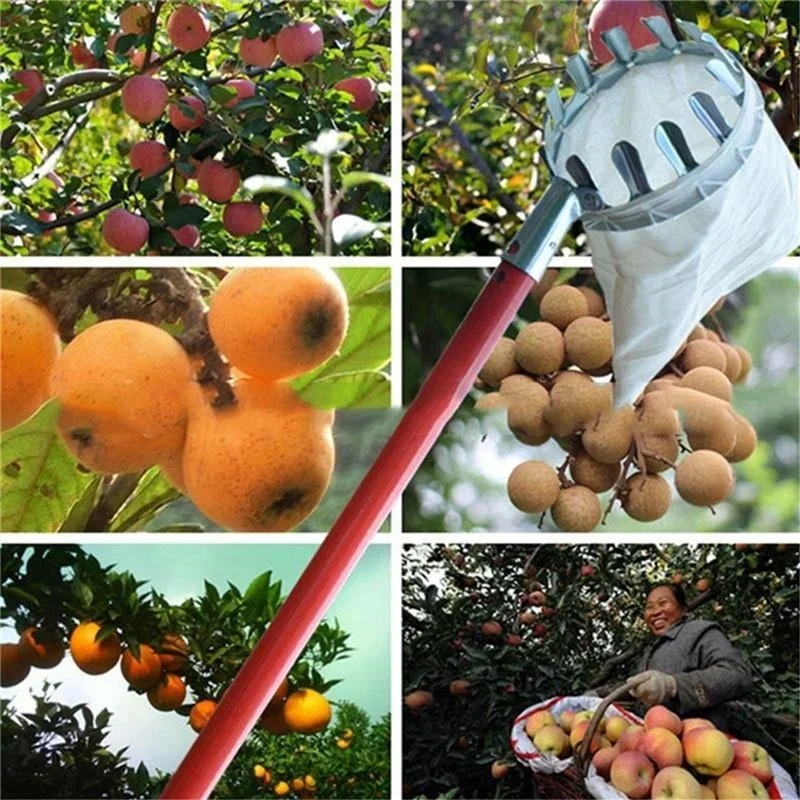 Recogedor de frutas de jardín, - Gardening Tools Scissors reseña y precio