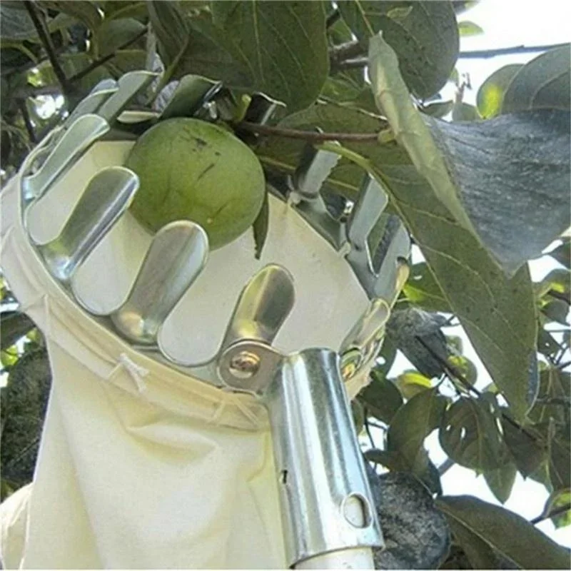 Recogedor de frutas de jardín, - Gardening Tools Scissors reseña y precio