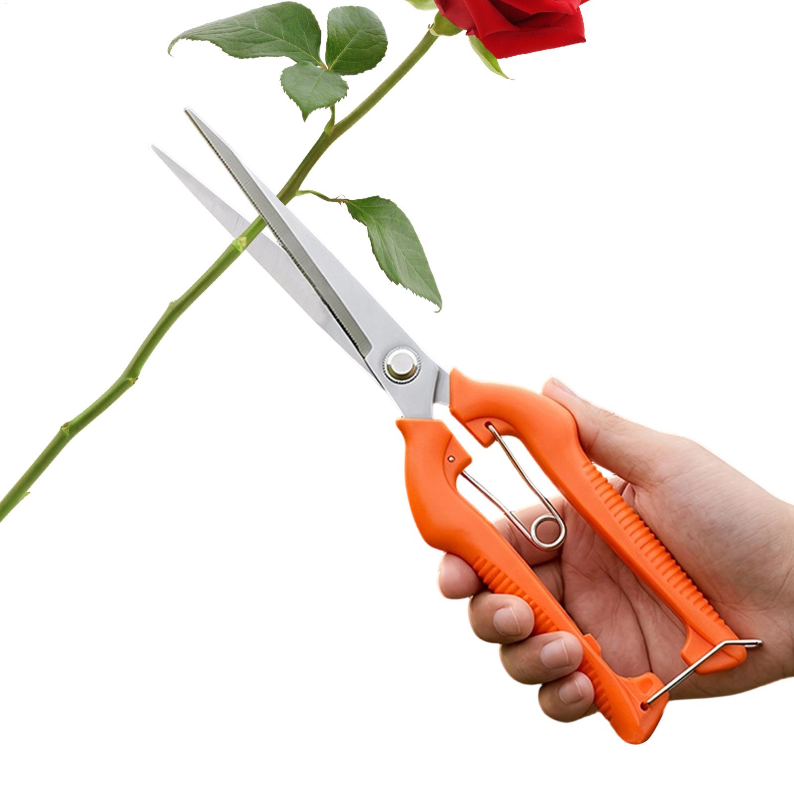 Tijeras de Podar, Tijeras para - Gardening Tools Women reseña y precio