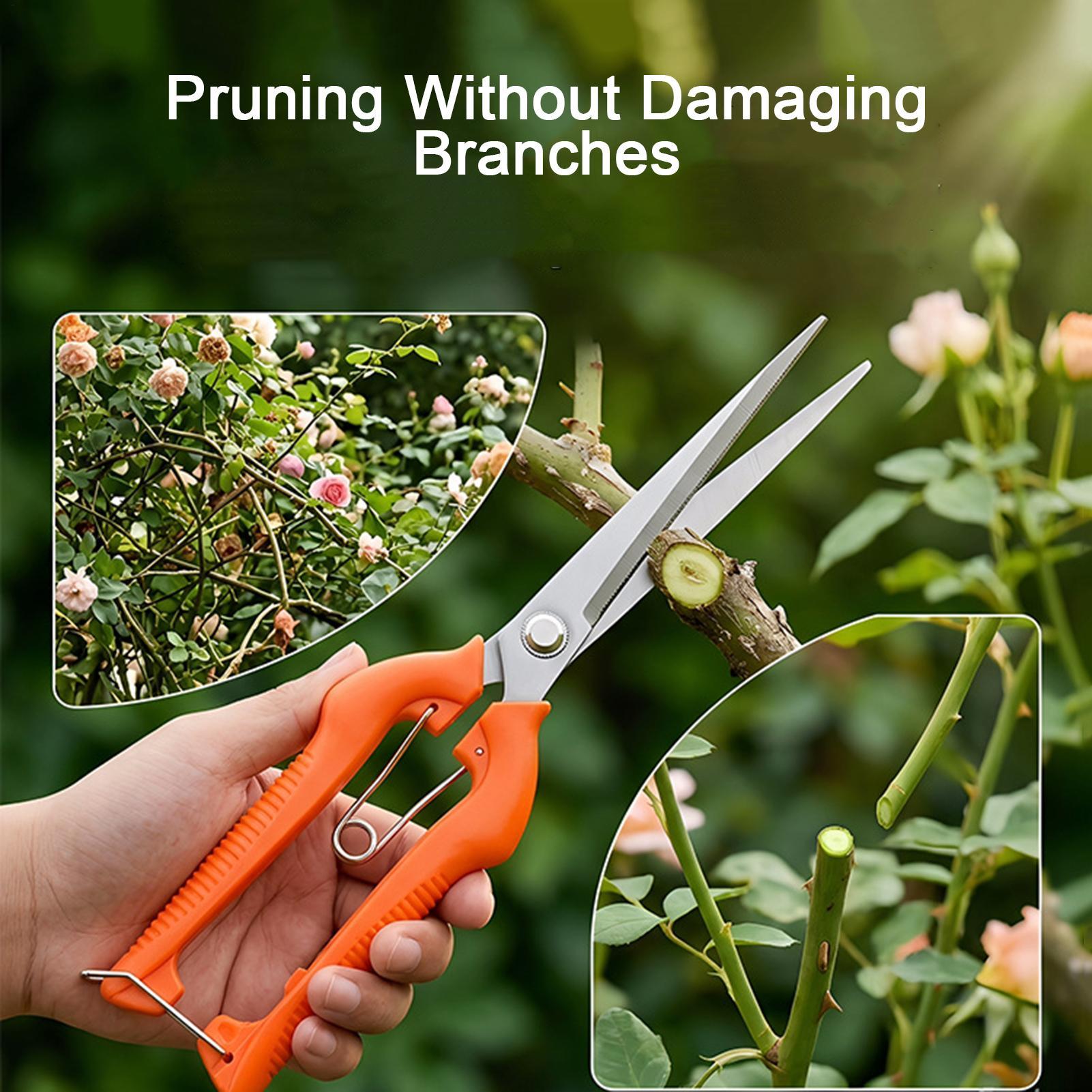 Tijeras de Podar, Tijeras para - Gardening Tools Women reseña y precio
