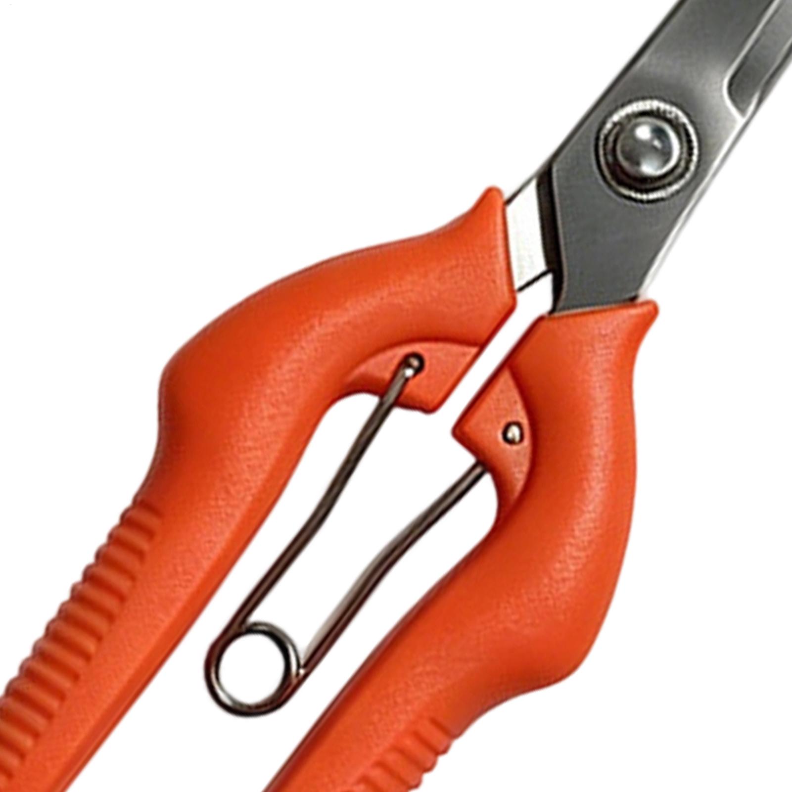 Tijeras de Podar, Tijeras para - Gardening Tools Women reseña y precio