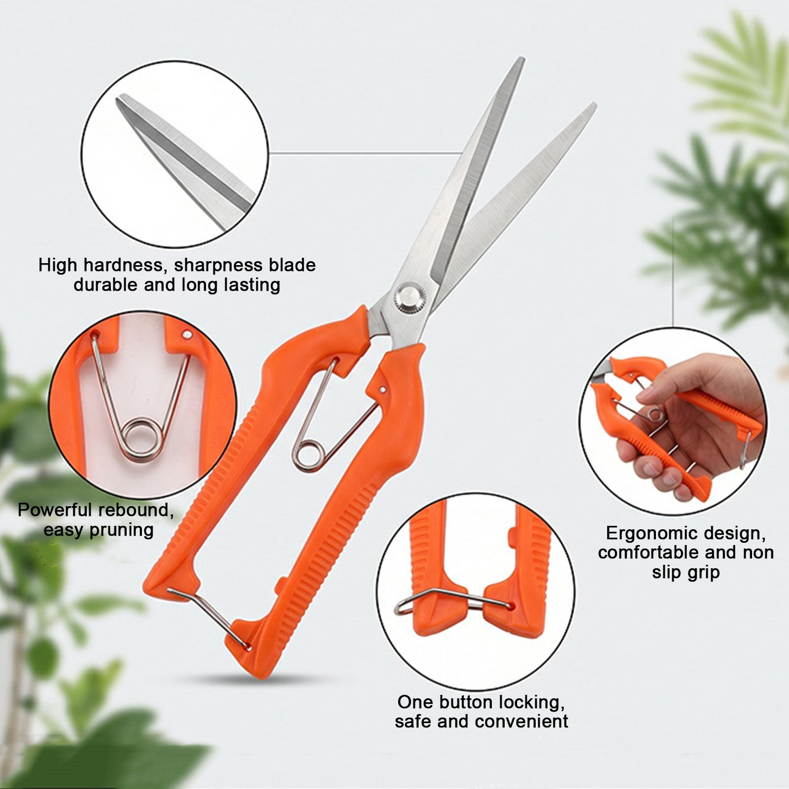 Tijeras de Podar, Tijeras para - Gardening Tools Women reseña y precio