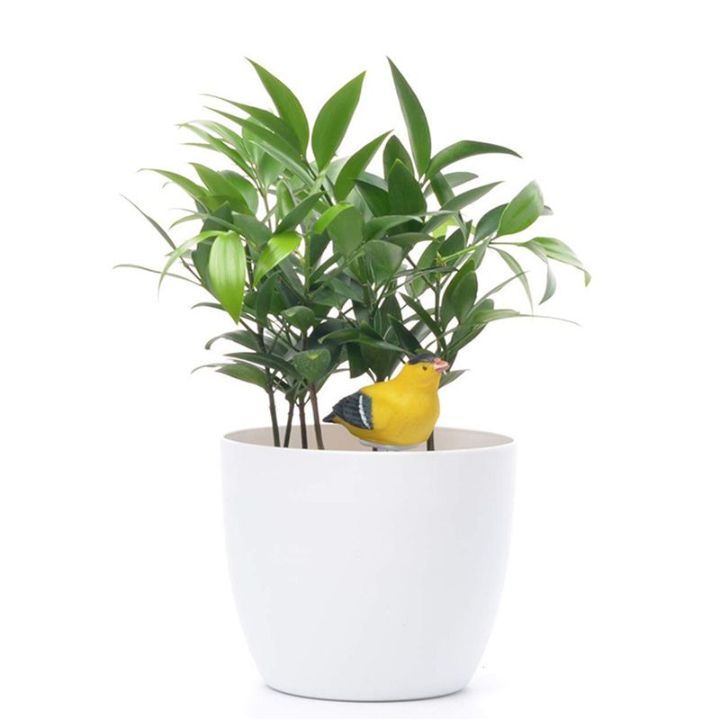 Medidor de Humedad del Suelo 8 - Gardening Tools Yellow reseña y precio
