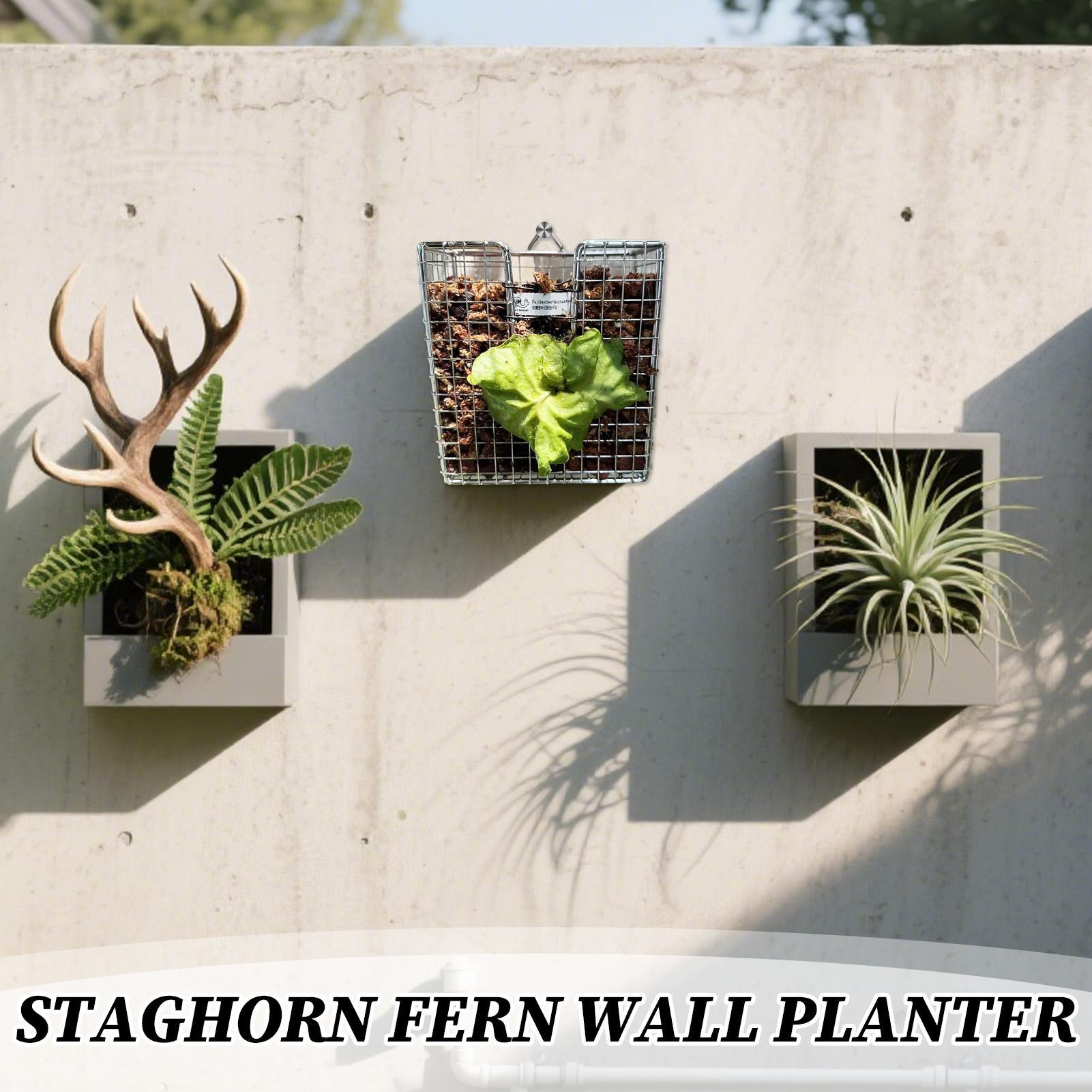 Kit de montaje de helecho Stag - Vertical Wall Planter reseña y precio