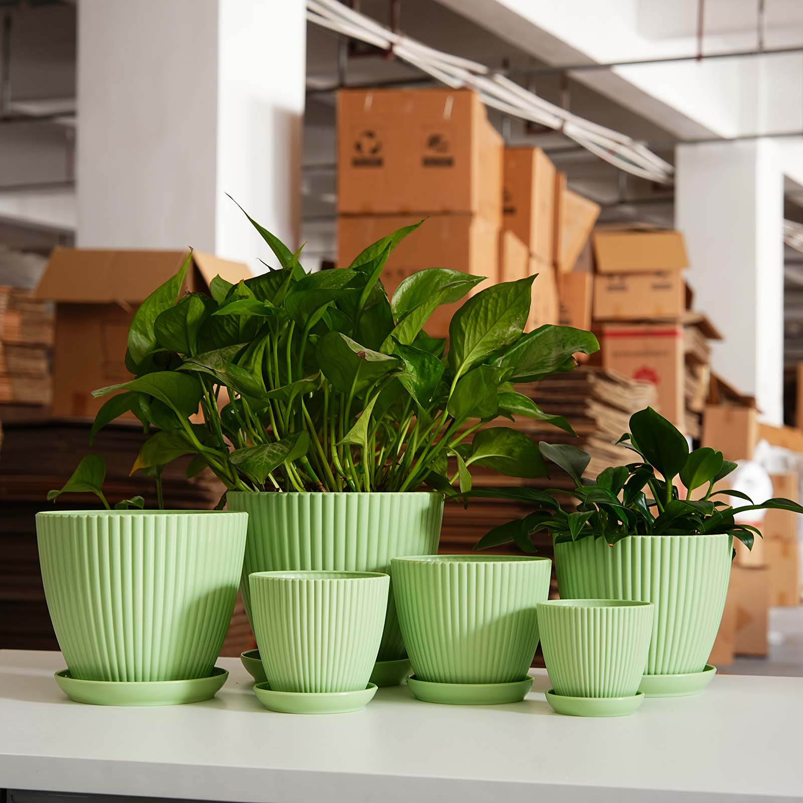 Maceta de Plástico Grueso con  - Vertical Wall Planter reseña y precio