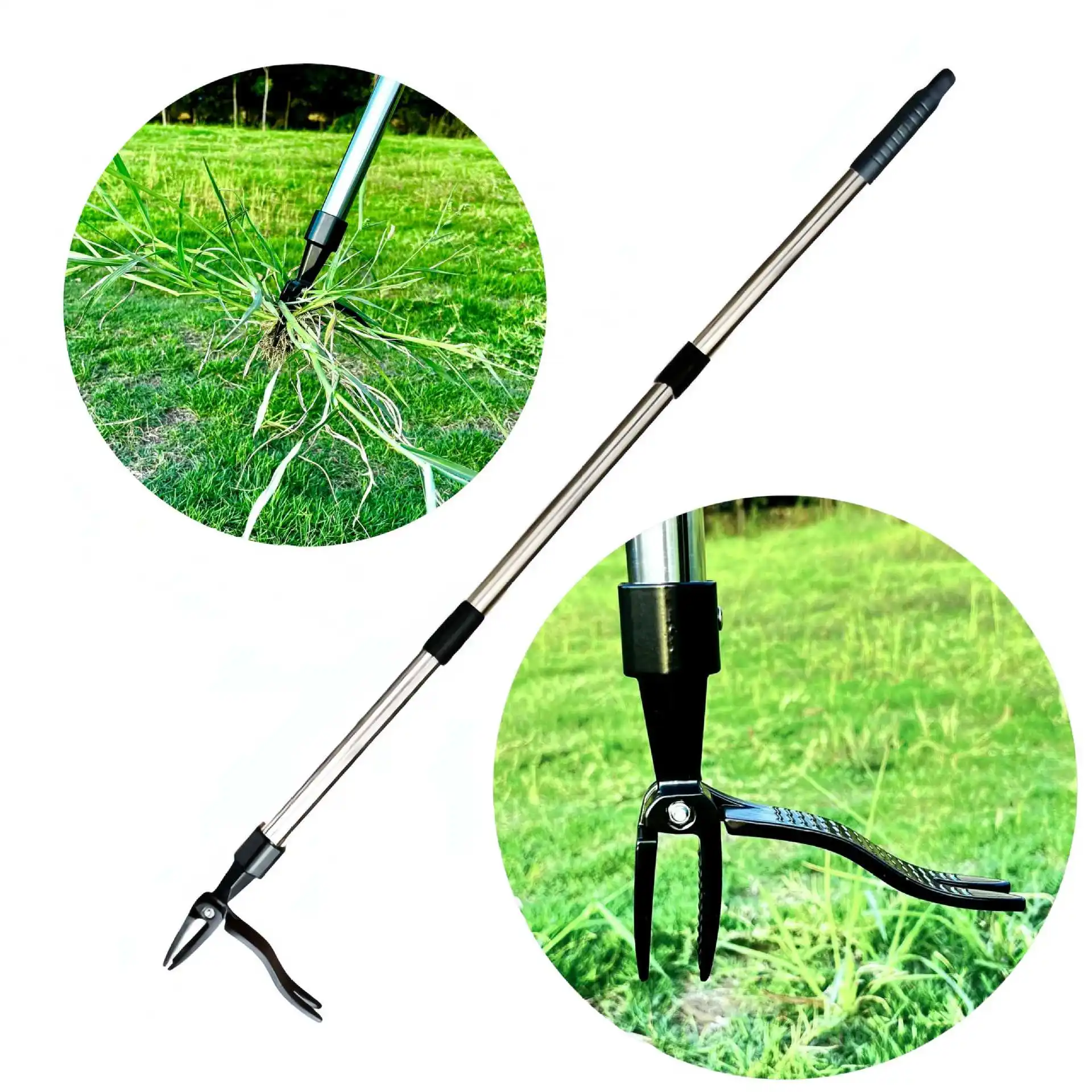 Extractor de malas hierbas de  - Gardening Tools You Need reseña y precio