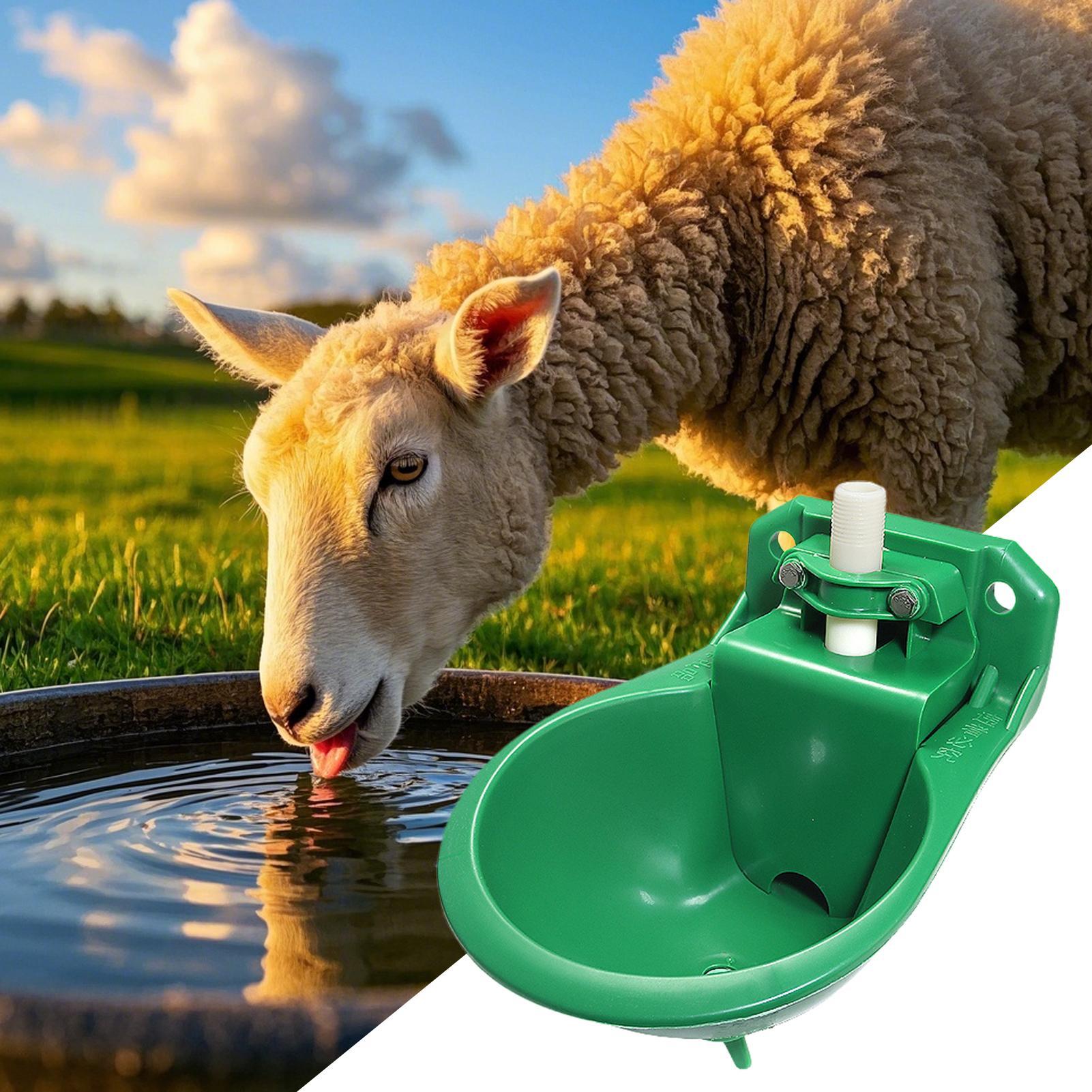 Bebedero para Caballos con Vál - Gardening Tools Women reseña y precio