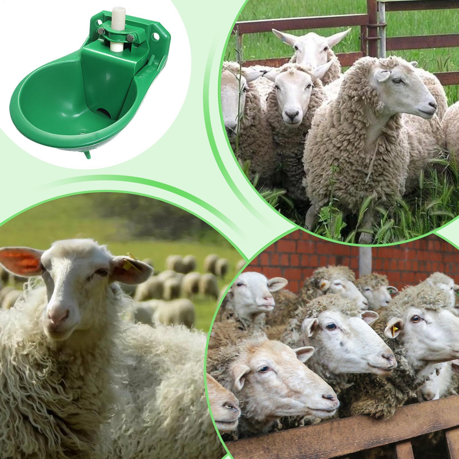 Bebedero para Caballos con Vál - Gardening Tools Women reseña y precio