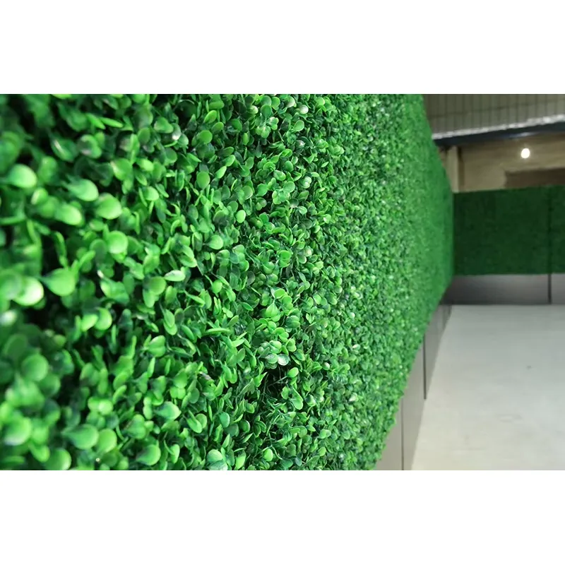 CQ-001 Jardin Vertical Ecológi - Vertical Wall Planter reseña y precio
