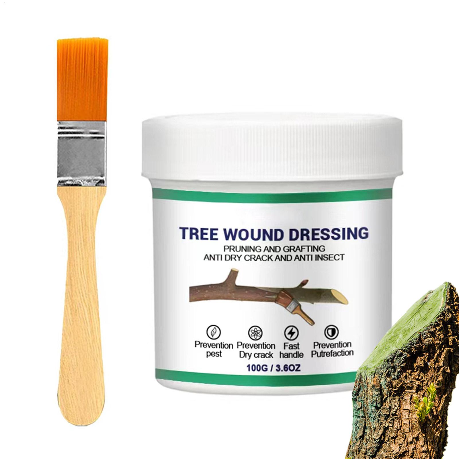 Pasta para injerto de árboles, - Gardening Tools Women reseña y precio