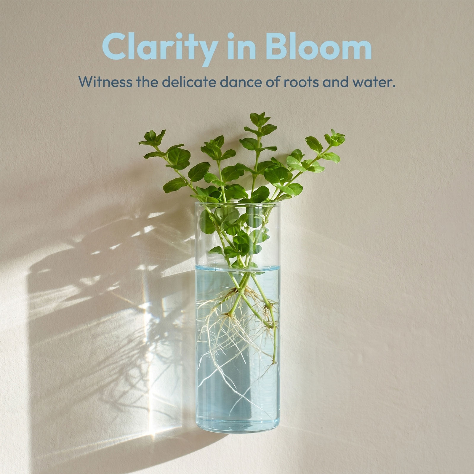 5 unidades de macetas cilíndri - Vertical Wall Planter reseña y precio